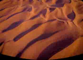 Photo de couverture de Aliquam Erat