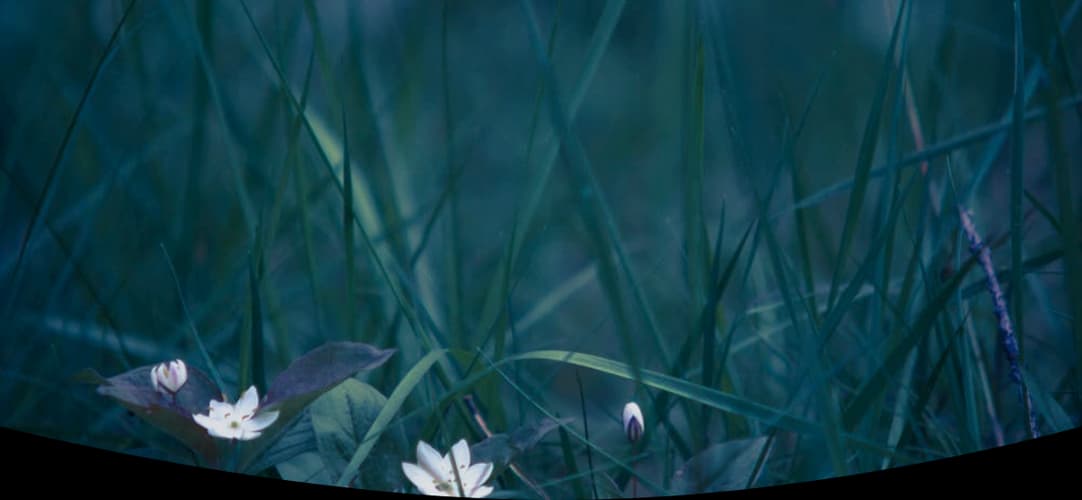 Photo de couverture de Camille Guilbert