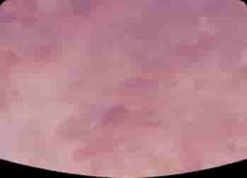 Photo de couverture de ChaCha21